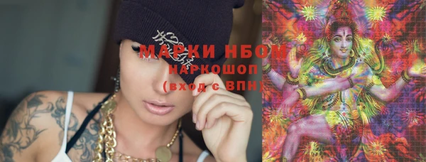 СК Алексин